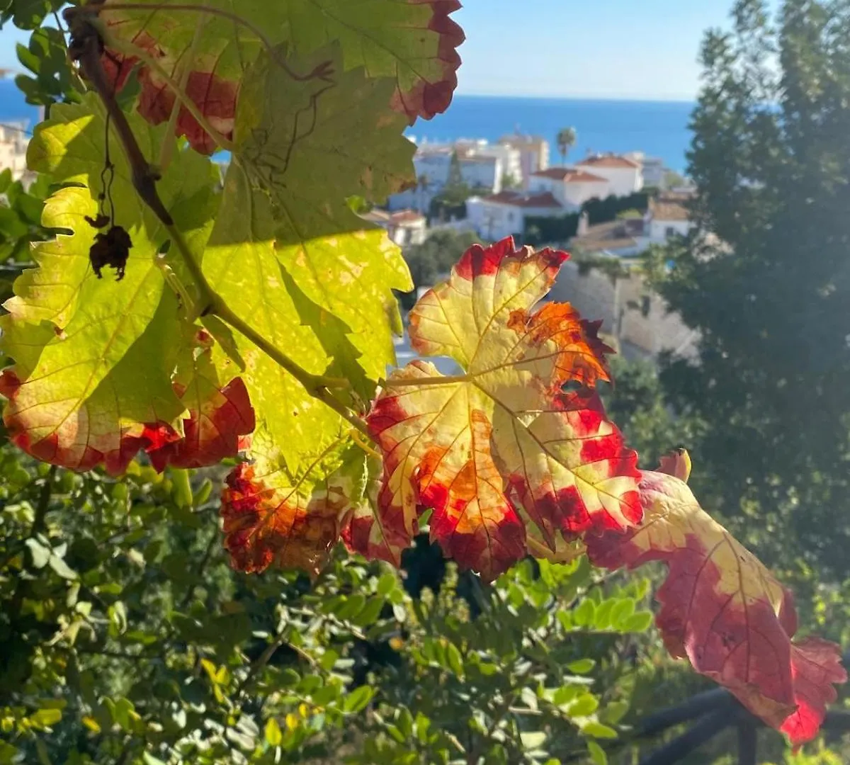 Boutique Hotel Las Islas (Adults Only) Fuengirola